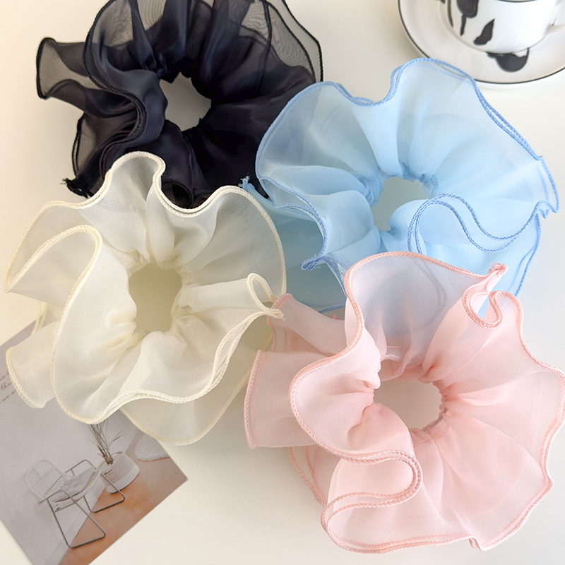 Ballet Style Double-Layer Mesh - огляд і ціна Hair Net Invisible